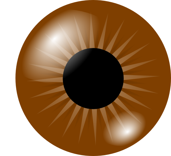 Brown Eye Clip Art at Clker.com - vector clip art online, royalty free