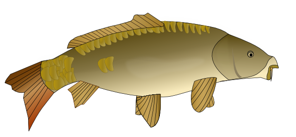 Fish Clip Art at Clker.com - vector clip art online, royalty free