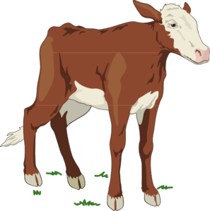 Cow 9 Clip Art