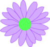 Purple Outline Daisy Clip Art