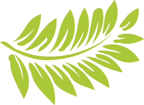 clip art fern leaf - photo #2