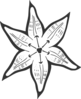 Lilly Flower Outline Clip Art