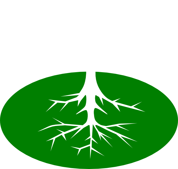 tree root clipart - photo #48