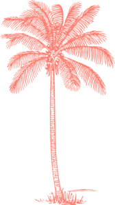 Salmon Palm Tree Clip Art