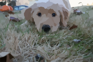Img Clip Art