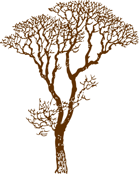 Brown Tree Clip Art at Clker.com - vector clip art online, royalty free &  public domain