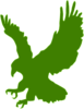 Green Hawk Clip Art