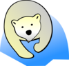 Polar Bear  Clip Art