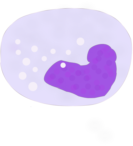 Monocyte Clip Art at Clker.com - vector clip art online, royalty free