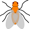 Orange Fly Clip Art