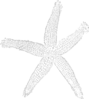 Starfishforinvitation Clip Art