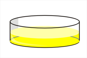Yellow Petri Dish Clip Art