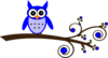 Blue Owl On Branch Clip Art