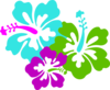 Hibiscus Trio Clip Art