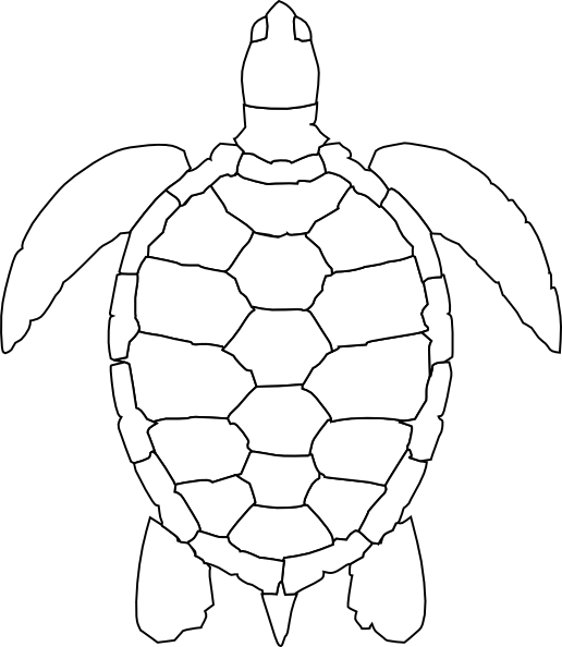 turtle outline clip art - photo #1