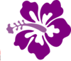 Hibiscus Clip Art