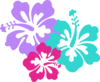 Hibiscus Clip Art