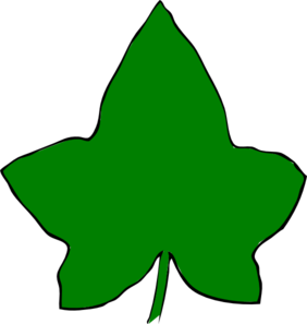Ivy Leaf Big Green Clip Art