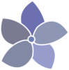Hydrangea Flower Varied Clip Art