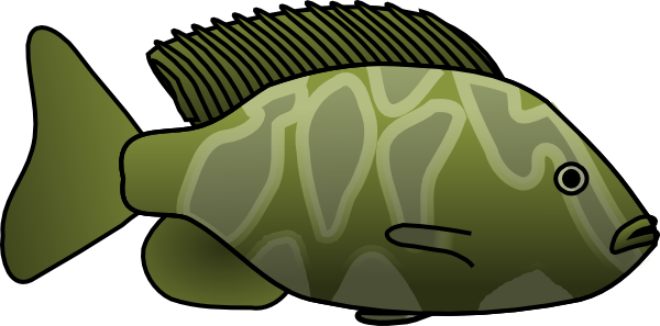 green fish clip art - photo #8