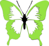 Courtney Butterfly Clip Art