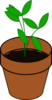 Plant In Pot Clip Art