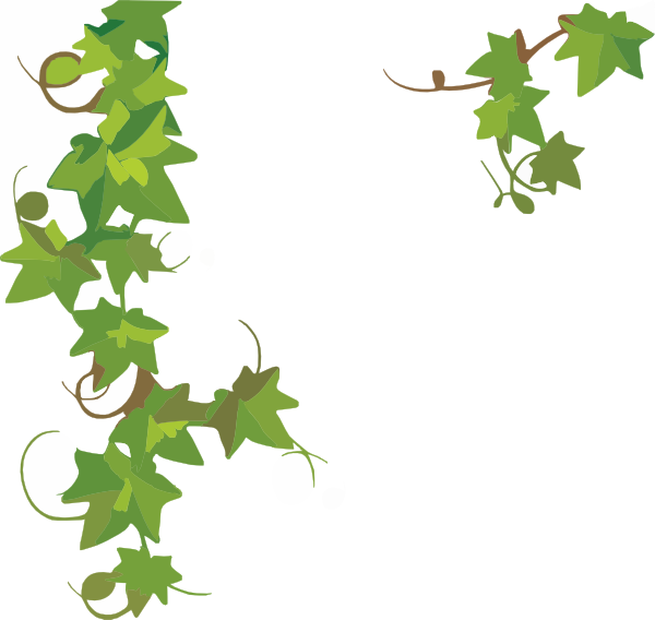clipart of vines - photo #29