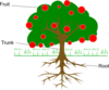 Labelled Tree Clip Art