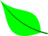Cryptpoint Green Leaf 01 Clip Art