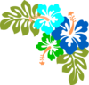 3 Blue Hibiscus Clip Art