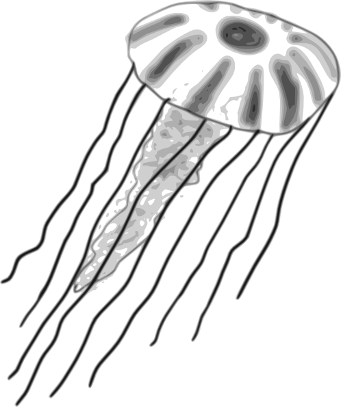 jellyfish clipart black and white - photo #29