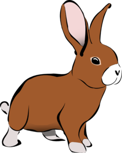 Brown Bunny Free Online