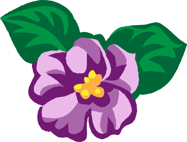 clipart african violets - photo #1