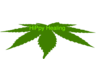 Hippy Healing Logo 5 Clip Art
