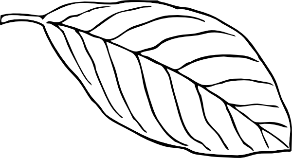 leaf clipart black and white - photo #42