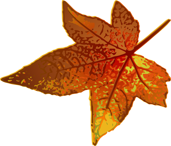 clip art fall leaf - photo #29