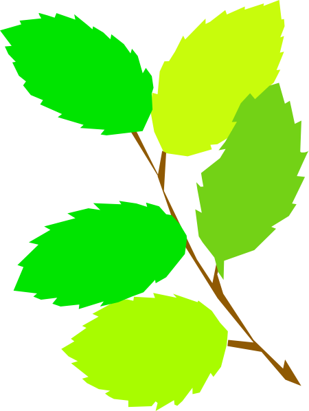 clipart green leaf - photo #26