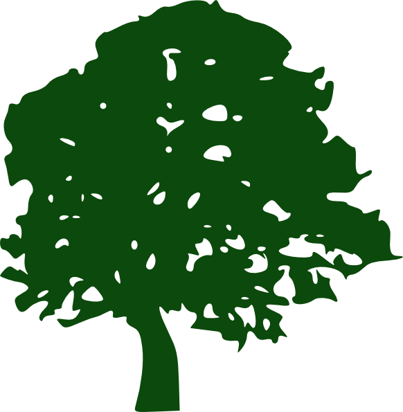 oak tree clip art vector - photo #2