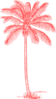 Palm Tree In Coral Color Clip Art
