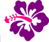  Puple Hibiscus Clip Art