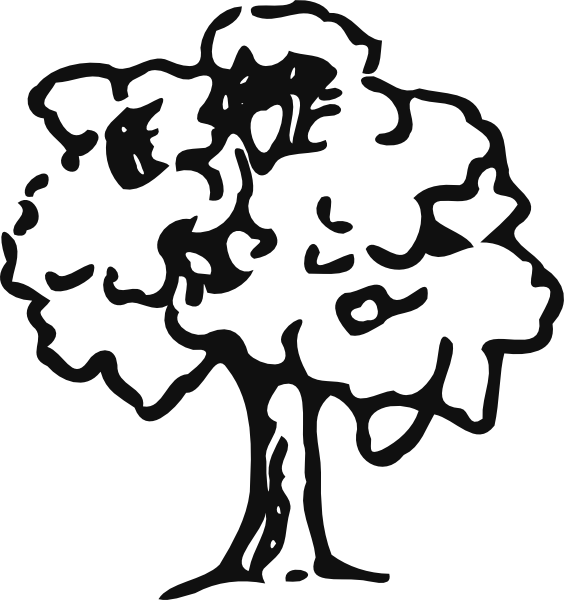 clipart tree outline - photo #4