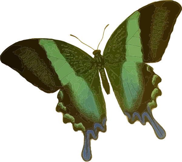 green butterfly clip art - photo #25