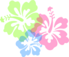 Hibiscus Clip Art