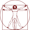 Vitruvian Clip Art