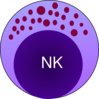 Nk-cell Clip Art