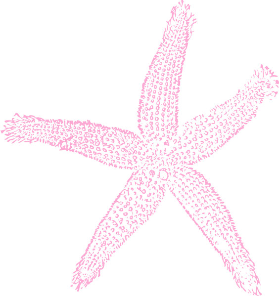 Single Starfish Pink Clip Art at Clker.com - vector clip art online