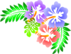 Hibiscus Corner Clip Art