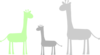 3 Giraffes Clip Art