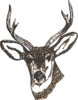 Reindeer Clip Art