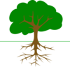 Tree Clip Art